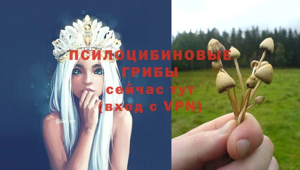 COCAINE Касимов