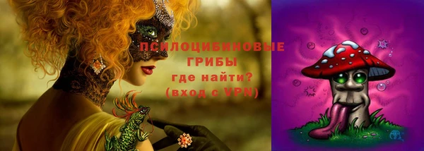 индика Карпинск