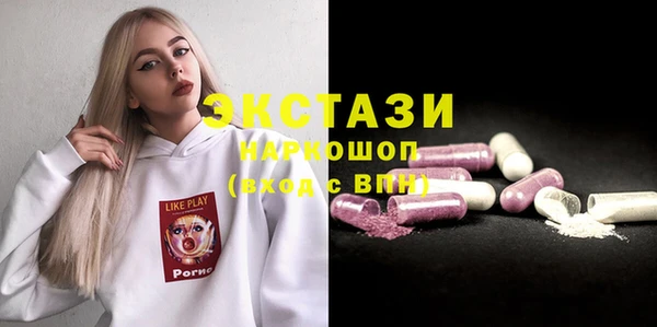 индика Карпинск