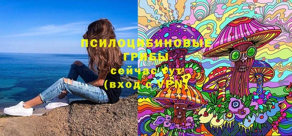 индика Карпинск