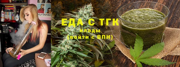 индика Карпинск