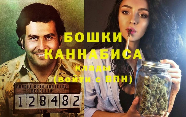 индика Карпинск