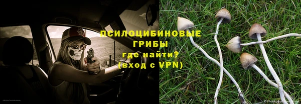 индика Карпинск