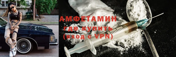индика Карпинск