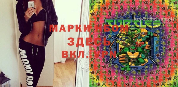 индика Карпинск