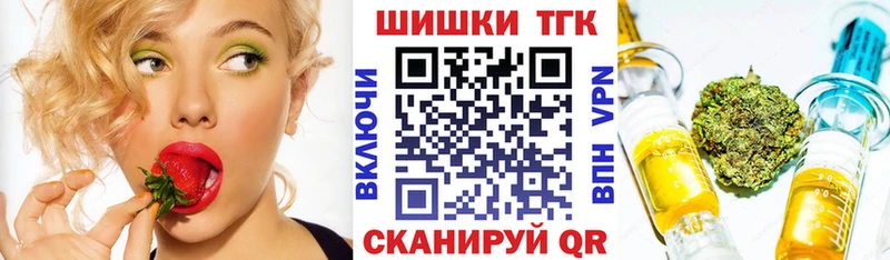 Купить закладки  Протвино  Каннабис сатива 